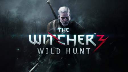 the witcher3 450